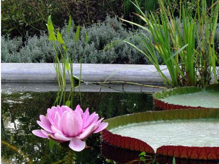Botanical garden