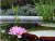 Botanical garden