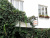 Bonjour Guesthouse