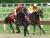 Arlington Park Racetrack