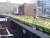 High Line Park