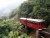 Victoria Peak