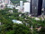 Hong Kong Park
