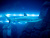 The Dubai Mall Aquarium and Underwater Zoo