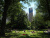 Central Park
