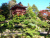 Japanische Teegarten
