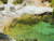 Cala Moltons