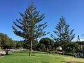 Parque de San Juan (Telde)
