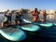 Paddle Surf