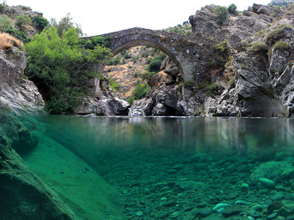 torrent france torrent france